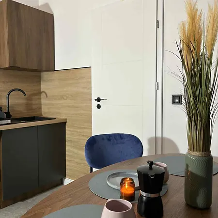 Staszica Apartment *