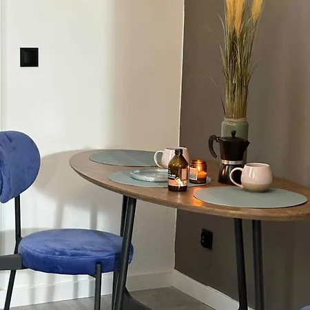 Apartment Staszica