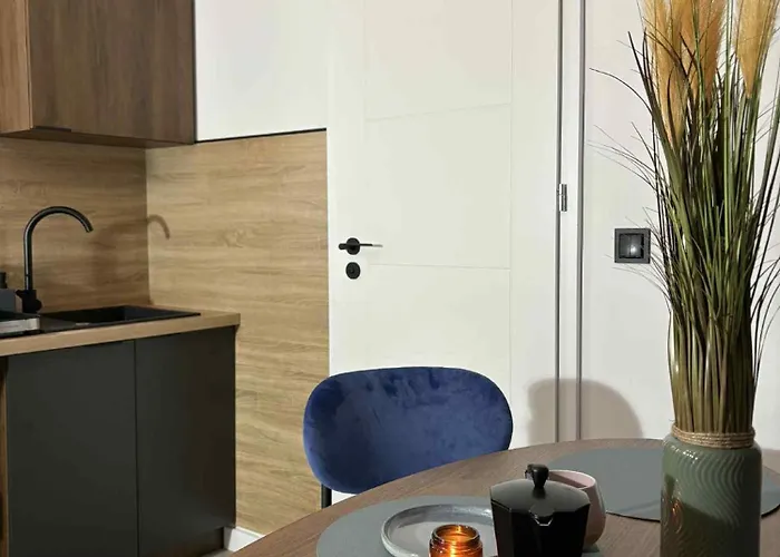 Staszica Apartment *